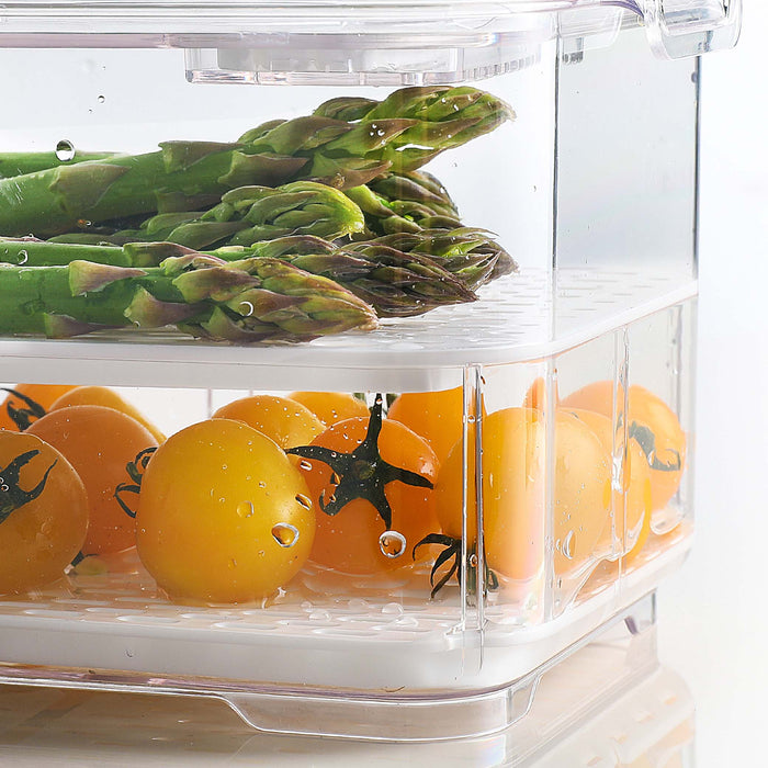 Tray 6540-1