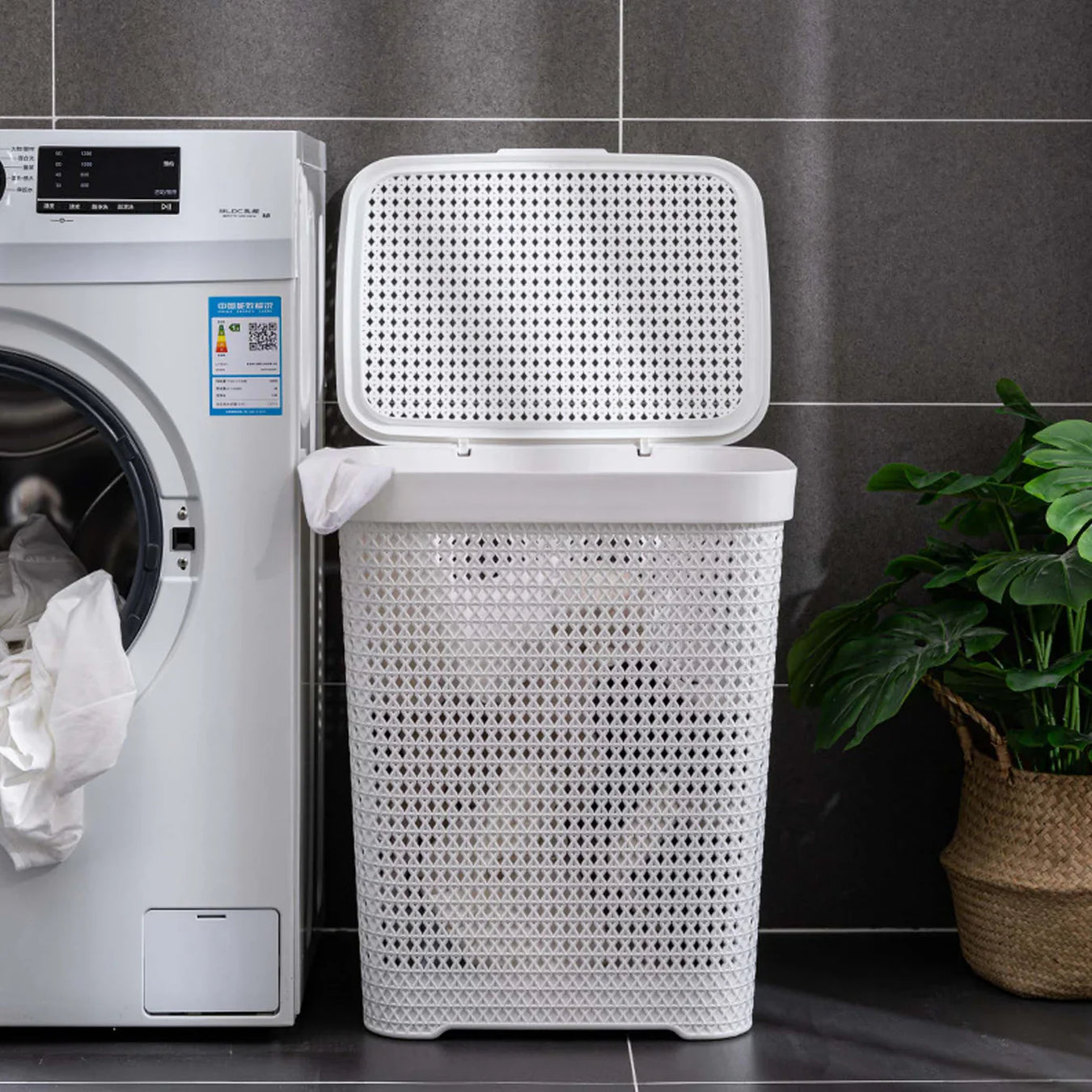 Laundry & cleaning