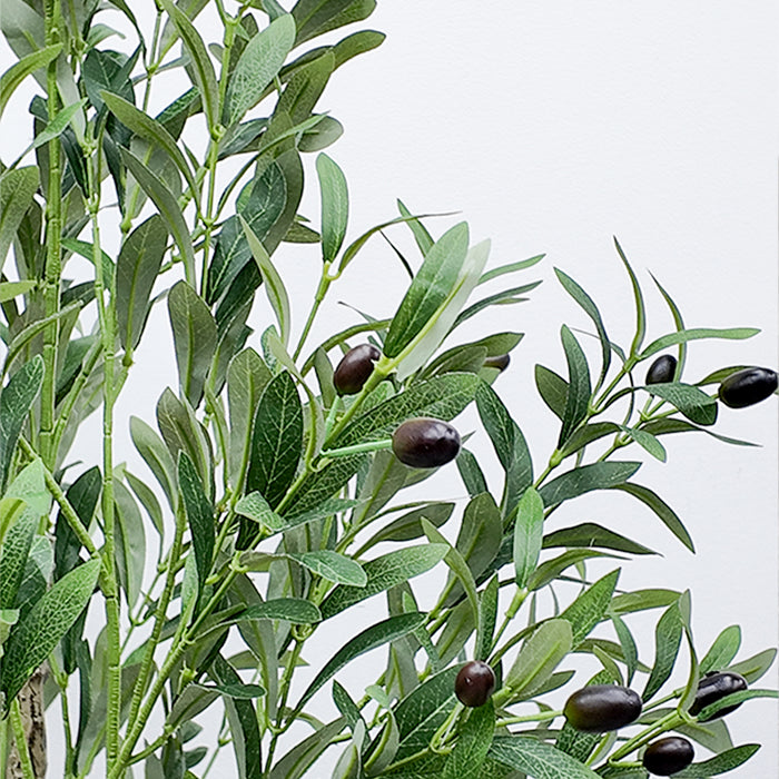 Plant with Pot CN100