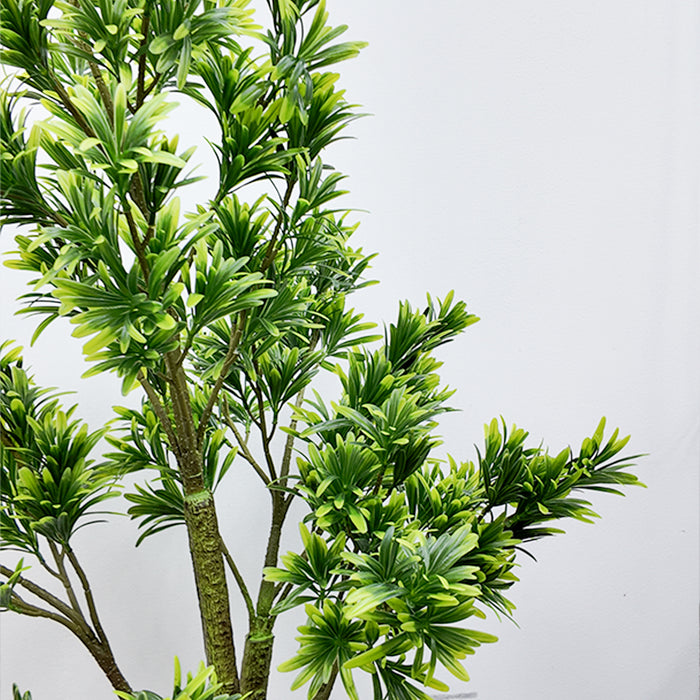 Plant with Pot CN100