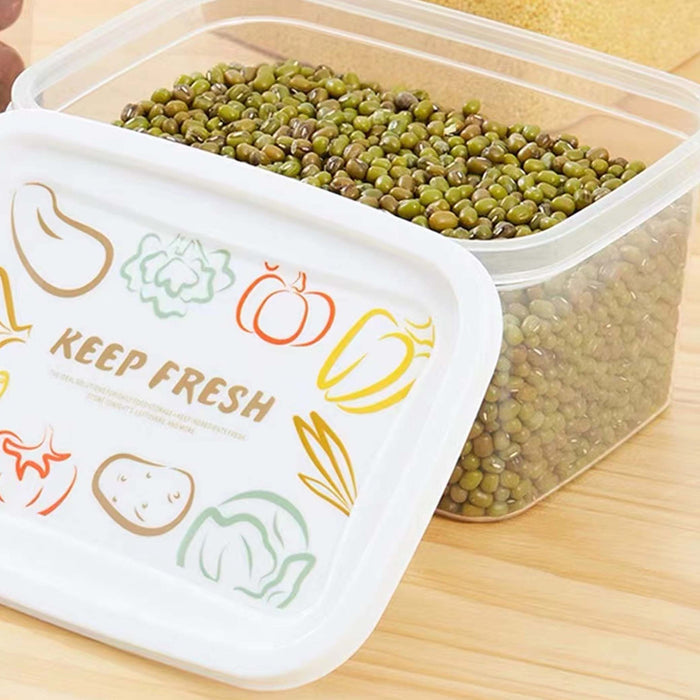 Food Container 2843 (SET)