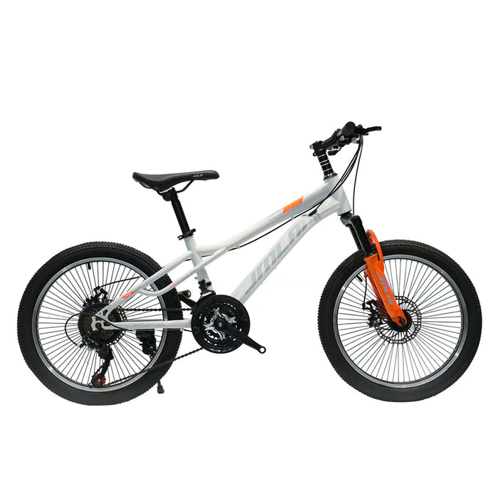 Bicycle CN300