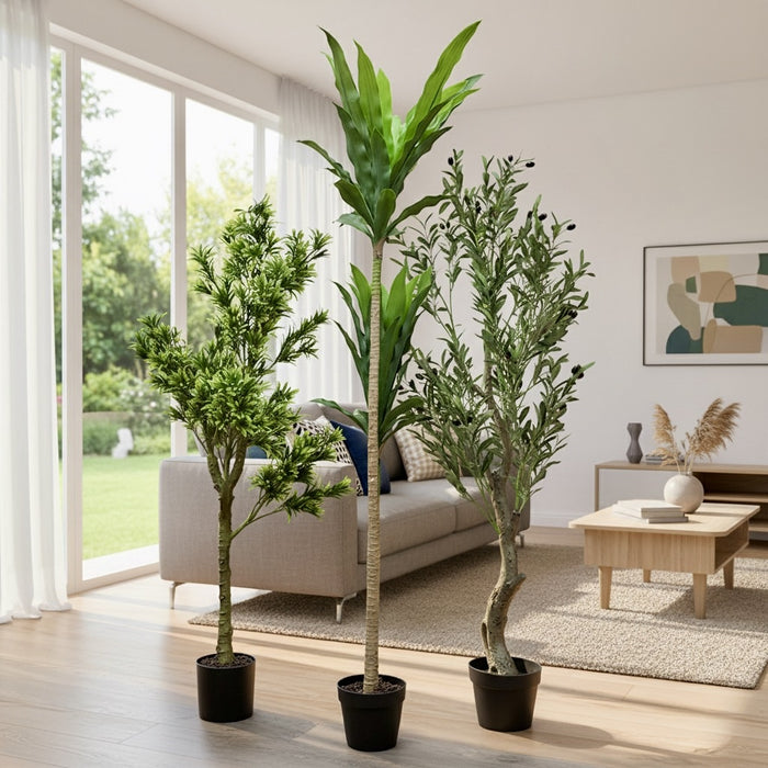 Plant with Pot CN100